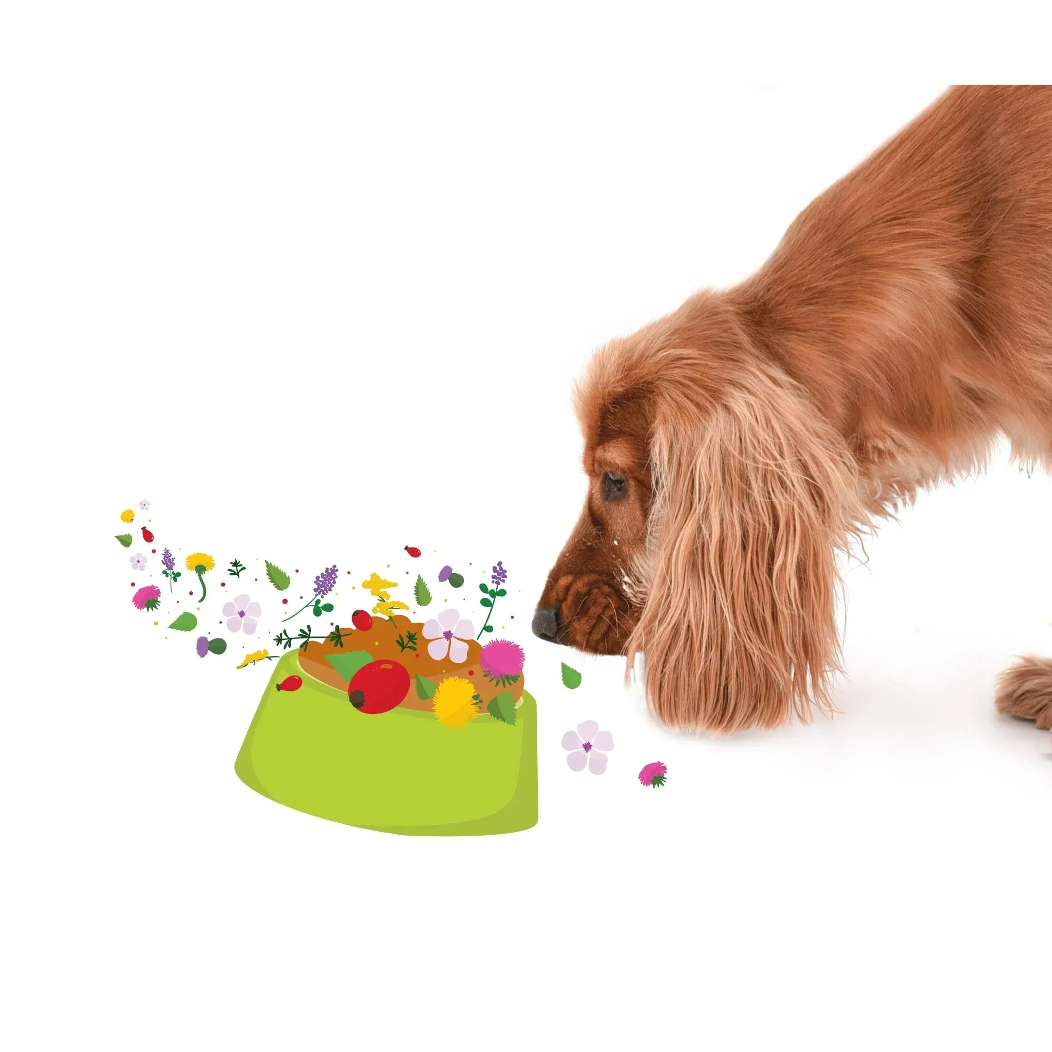 Boosterz Super Tummy, 100% Natural Supplement for Dogs - 125g