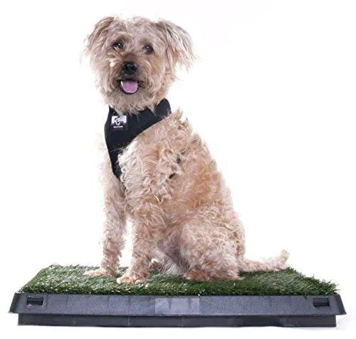 Downtown Pet Supply Dog Pee Potty Pad, Bathroom Tinkle Artificial Grass Turf, Portable Potty Trainer (20 x 25 inches with Drawer)