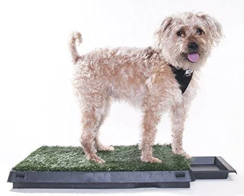 Downtown Pet Supply Dog Pee Potty Pad, Bathroom Tinkle Artificial Grass Turf, Portable Potty Trainer (20 x 25 inches with Drawer)