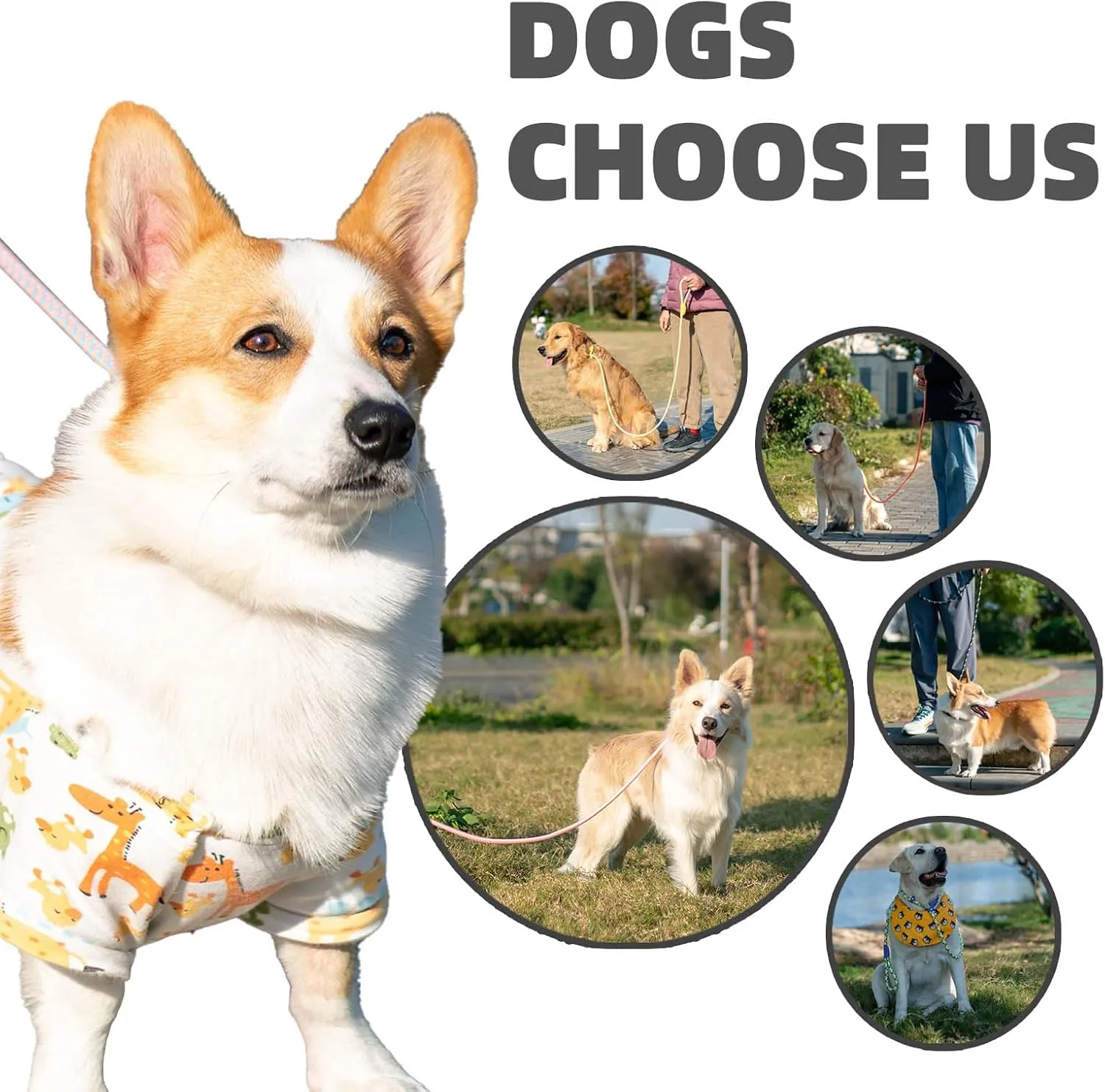 Durable Slip Leads for Dogs, Heavy Duty Strong Rope Slip Leash for Large, Medium Dogs No Pull Training Leashes (Khaki, 3/8" x 6 FT (0~30 lbs.))