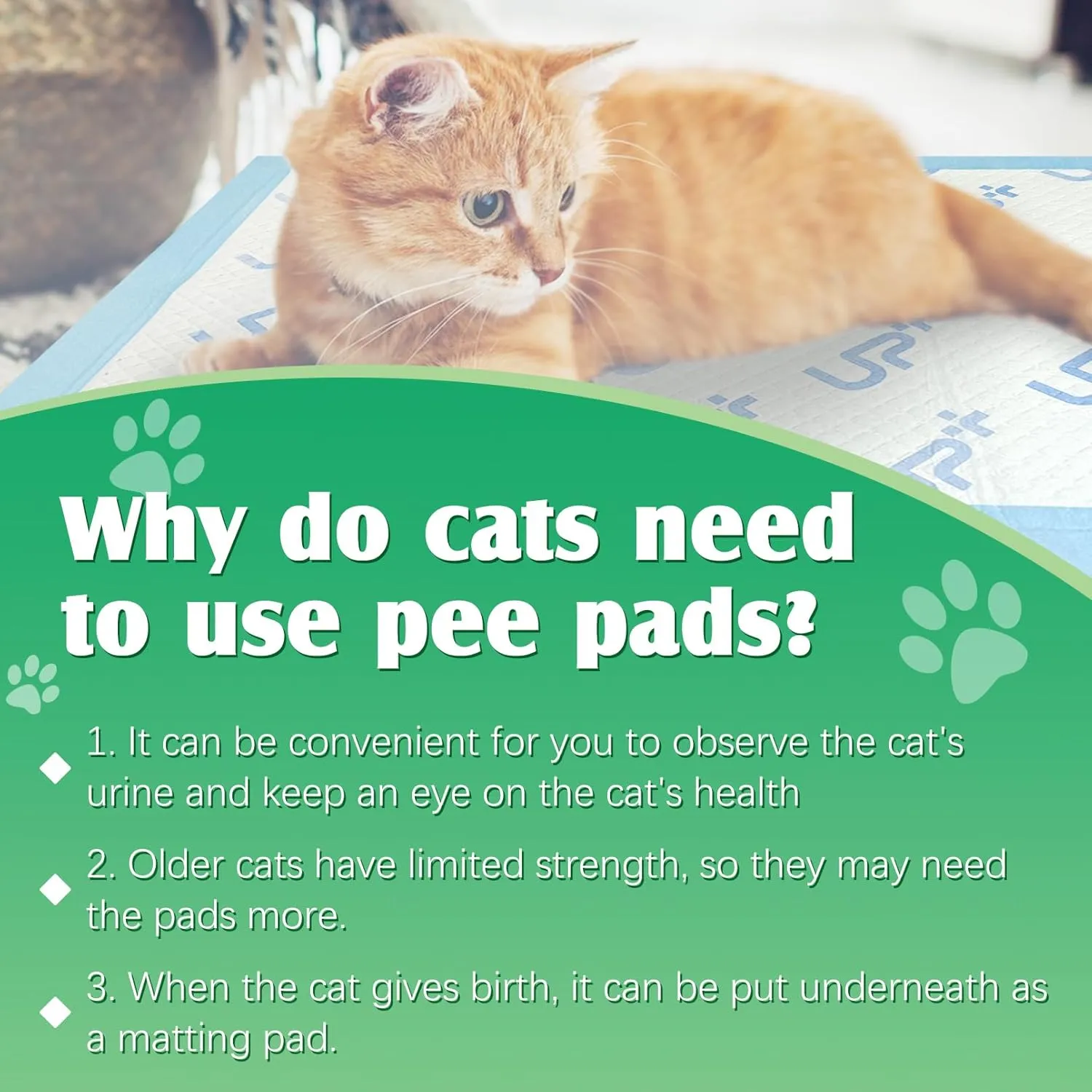 Fhiny Pee Pads for Dogs,13"17.7" Puppy Pet Training Pads Super Absorbent Puppy Pads Disposable Dog Pee Pad Leakproof Quick Drying Waterproof for Doggie, Cats, Rabbits-S 100PCS