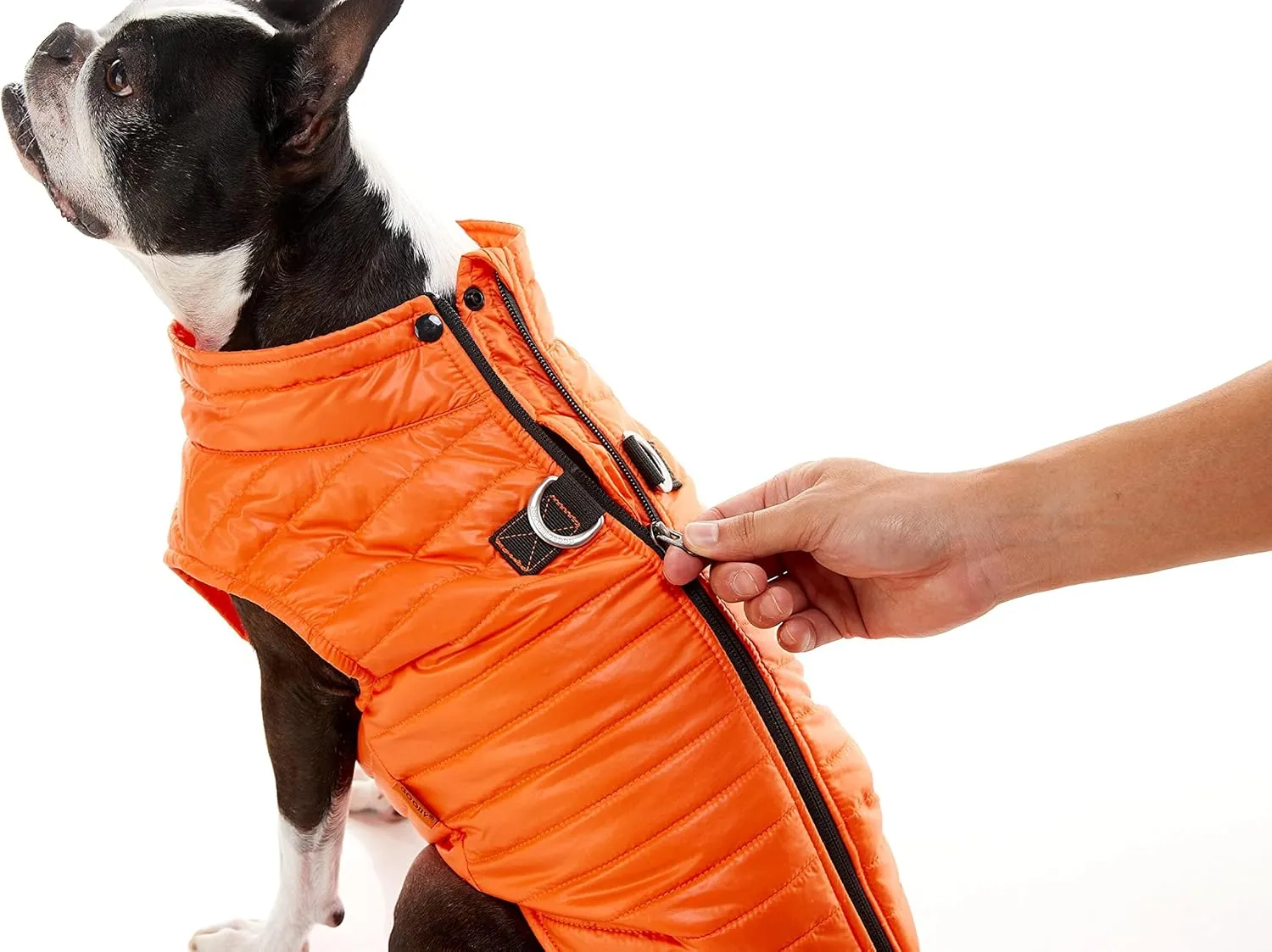 Gooby Puffer Vest Dog Jacket - Purple, Medium - Ultra Thin Zip Up Wind Breaker with Dual D Ring Leash - Water Resistant Small Dog Sweater Coat - Dog Clothes for Small Dogs Boy or Medium Dogs, (18")