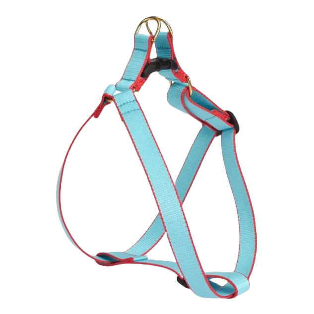 Harness | Aqua & Coral