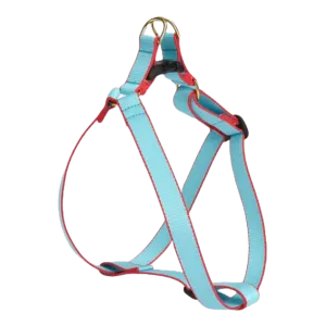 Harness | Aqua & Coral