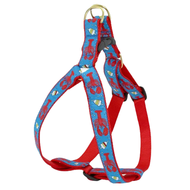 Harness | Lobster & Buoy