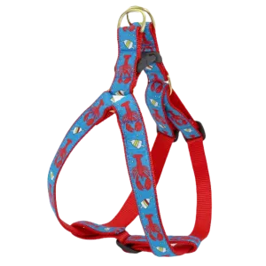 Harness | Lobster & Buoy