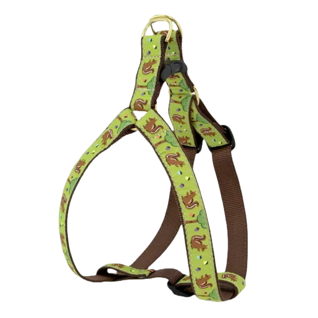Harness | Nuts!