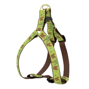 Harness | Nuts!