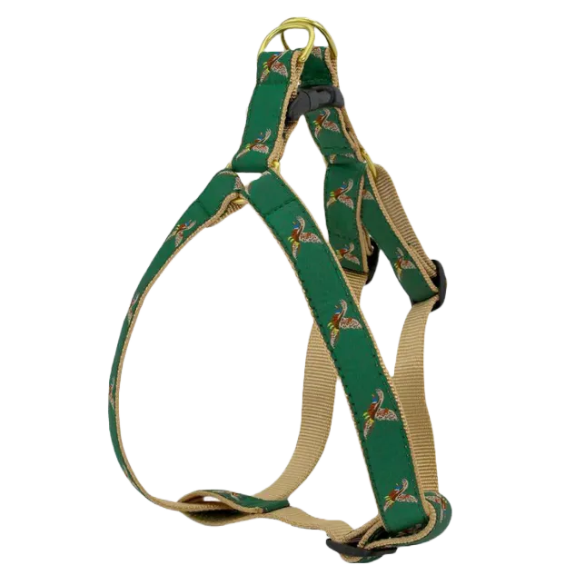 Harness | Pheasant