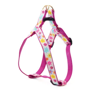 Harness | Spring Fever