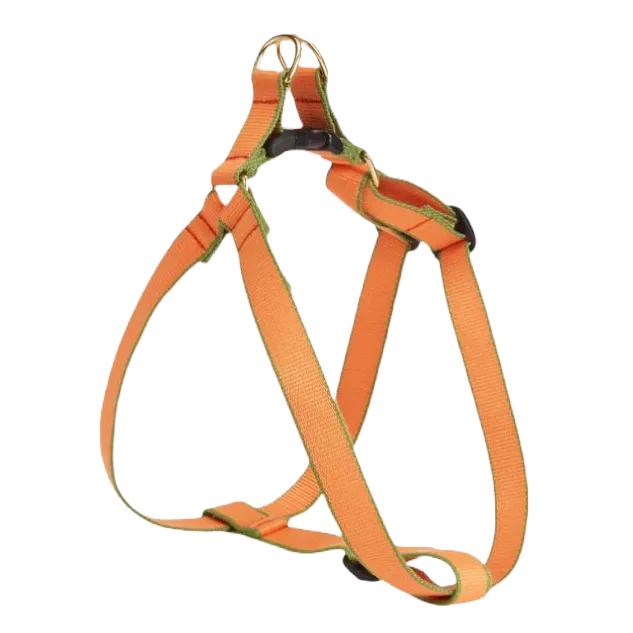 Harness | Tangerine & Pine