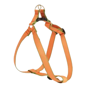 Harness | Tangerine & Pine