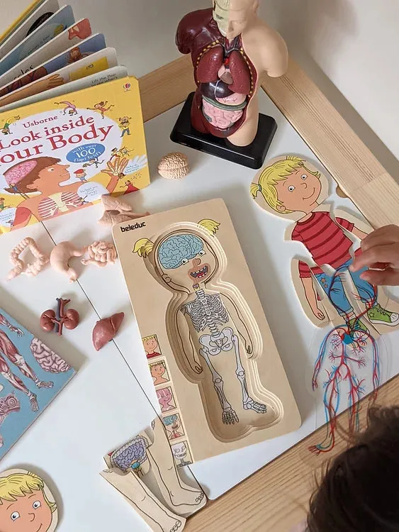 Human Anatomy Puzzle Girl 5 Layer by Beleduc Early Science STEM Toys 4yrs 