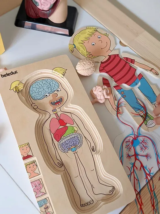 Human Anatomy Puzzle Girl 5 Layer by Beleduc Early Science STEM Toys 4yrs 