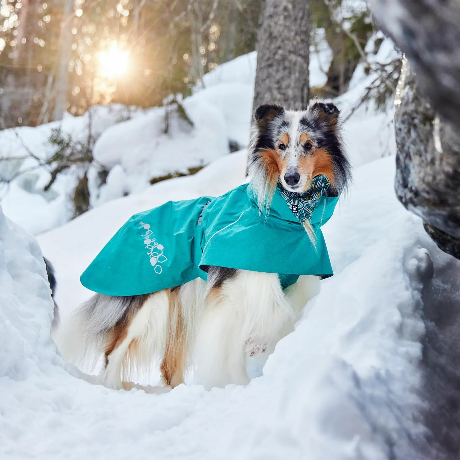 Hurtta Monsoon Coat II ECO, Wet Weather Dog Raincoat Coat, Peacock, 12 in