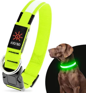 Illumifun LED Dog Collar, USB Rechargeable Light Up Dog Collar Glow in The Dark (Green, Medium)