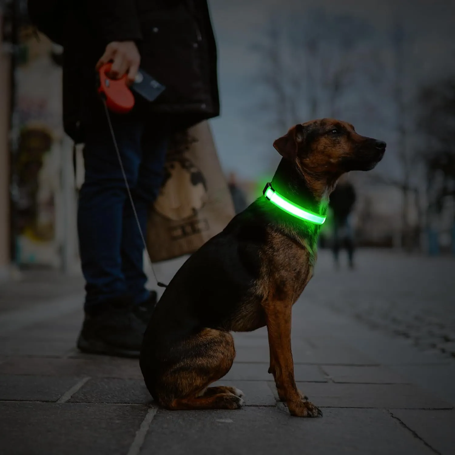 Illumifun LED Dog Collar, USB Rechargeable Light Up Dog Collar Glow in The Dark (Green, Medium)
