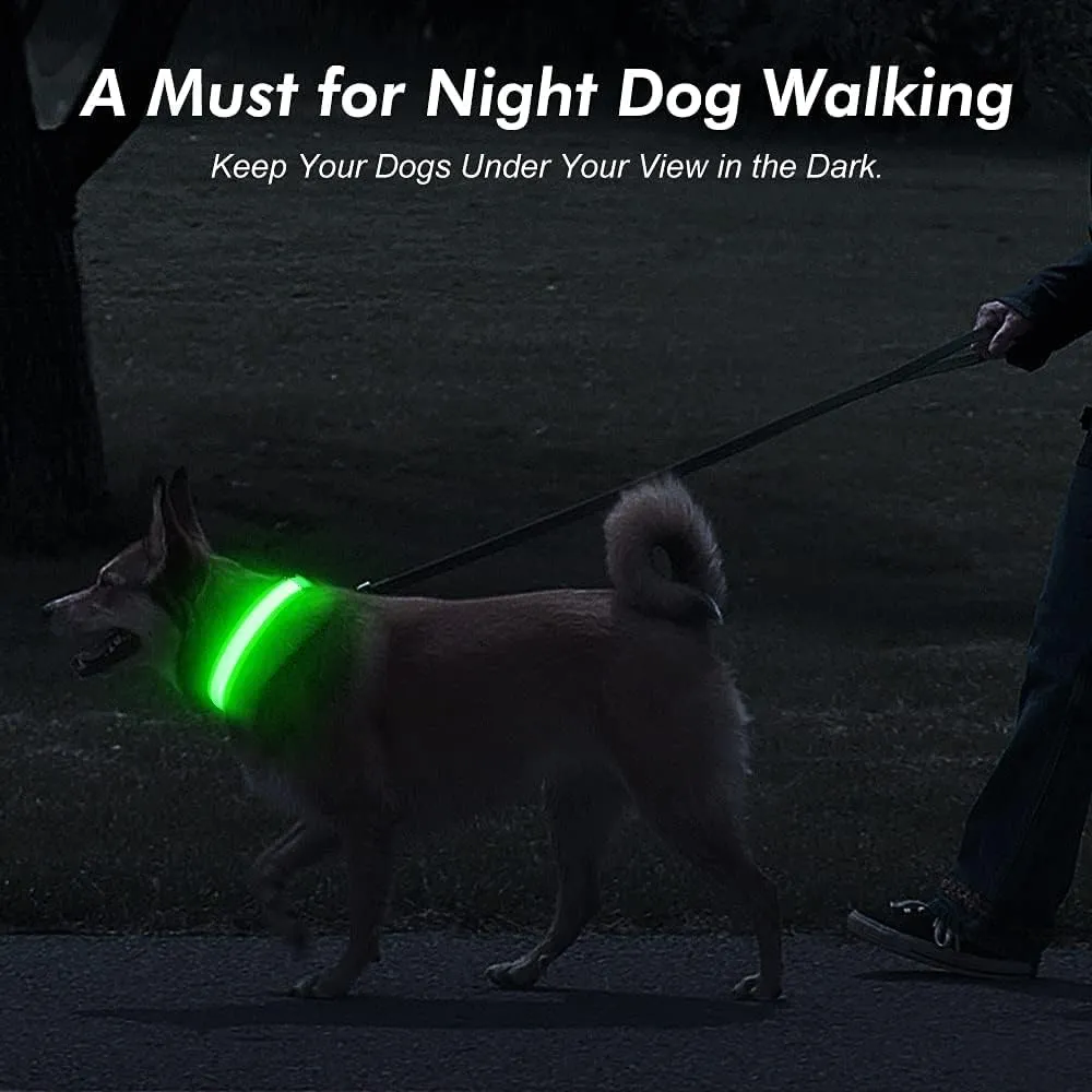Illumifun LED Dog Collar, USB Rechargeable Light Up Dog Collar Glow in The Dark (Green, Medium)