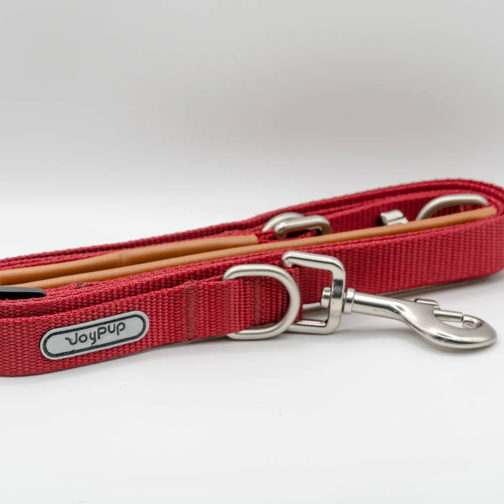 Joy Pup Hey Buddy! Dog Multi Lead