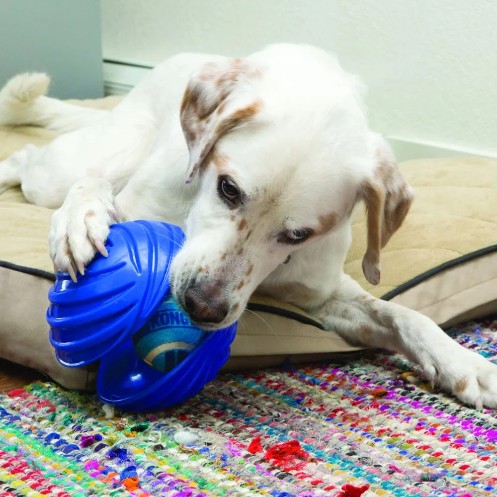 Kong Rambler™ Assorted Colors