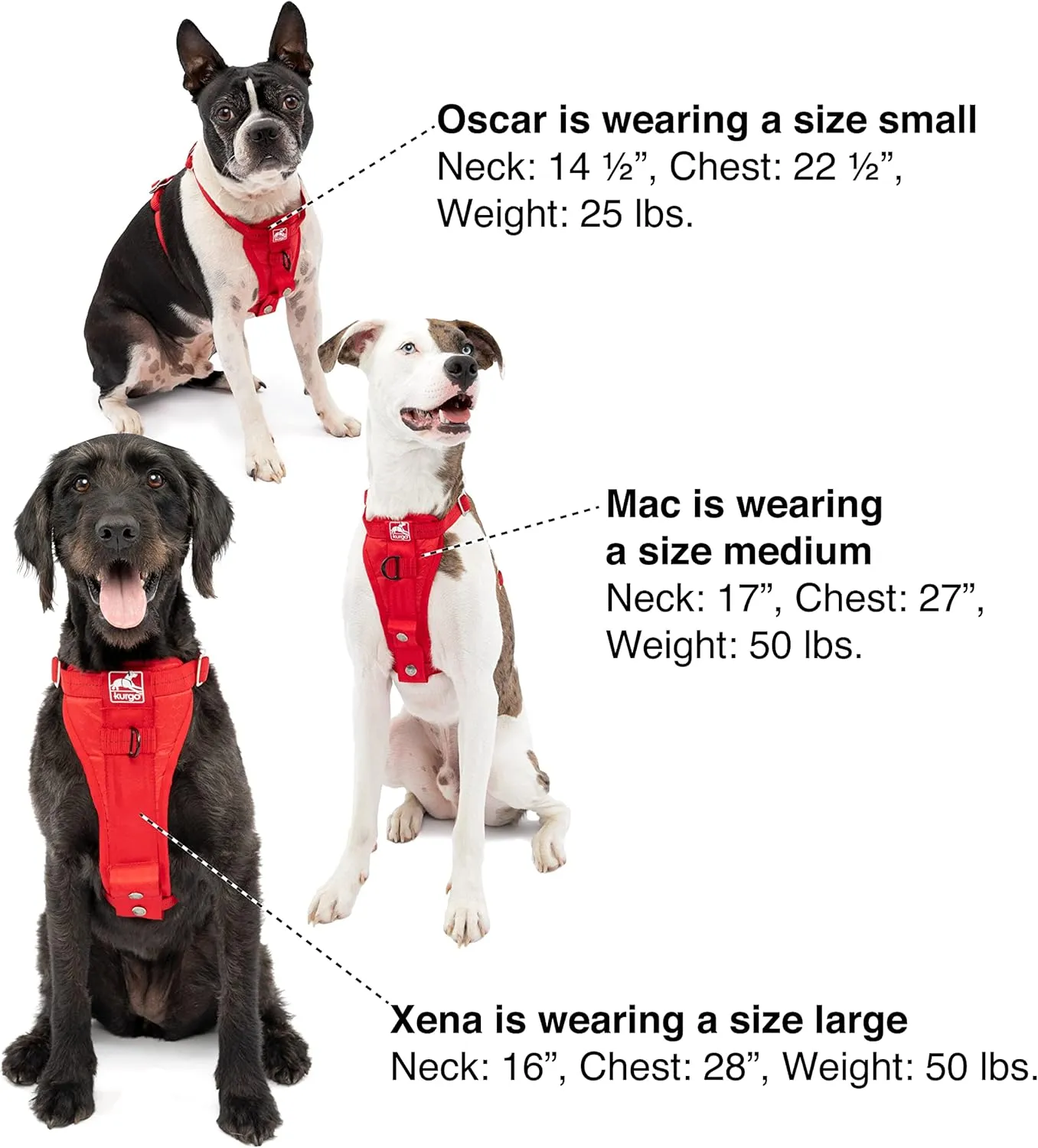 Kurgo Tru-Fit Enhanced Strength Dog Harness - Certified Crash Tested Car Safety Harness for Dogs - Metal Buckles, Padded Chest - Includes Pet Seatbelt - No Pull Training - Black, Extra Small