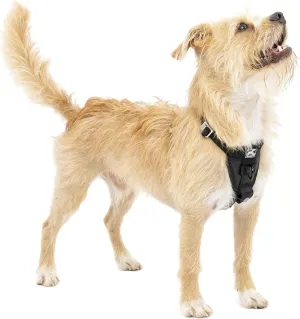 Kurgo Tru-Fit Enhanced Strength Dog Harness - Certified Crash Tested Car Safety Harness for Dogs - Metal Buckles, Padded Chest - Includes Pet Seatbelt - No Pull Training - Black, Extra Small
