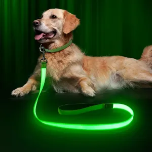 LED Dog Leash Light Up 4 Feet Micro USB Rechargeable Nylon Webbing Glow Safety Standard by Bpawser (Green)