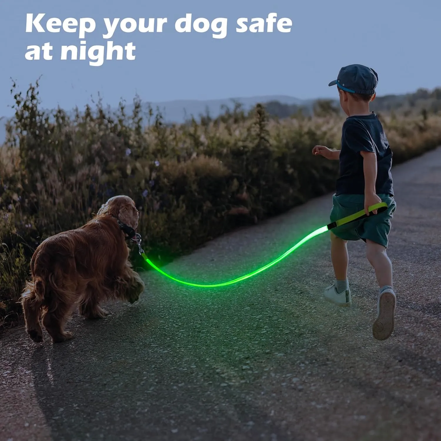 LED Dog Leash Light Up 4 Feet Micro USB Rechargeable Nylon Webbing Glow Safety Standard by Bpawser (Green)