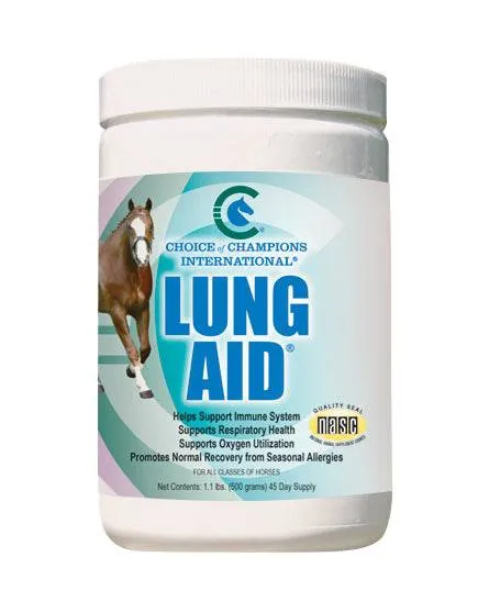 Lung Aid