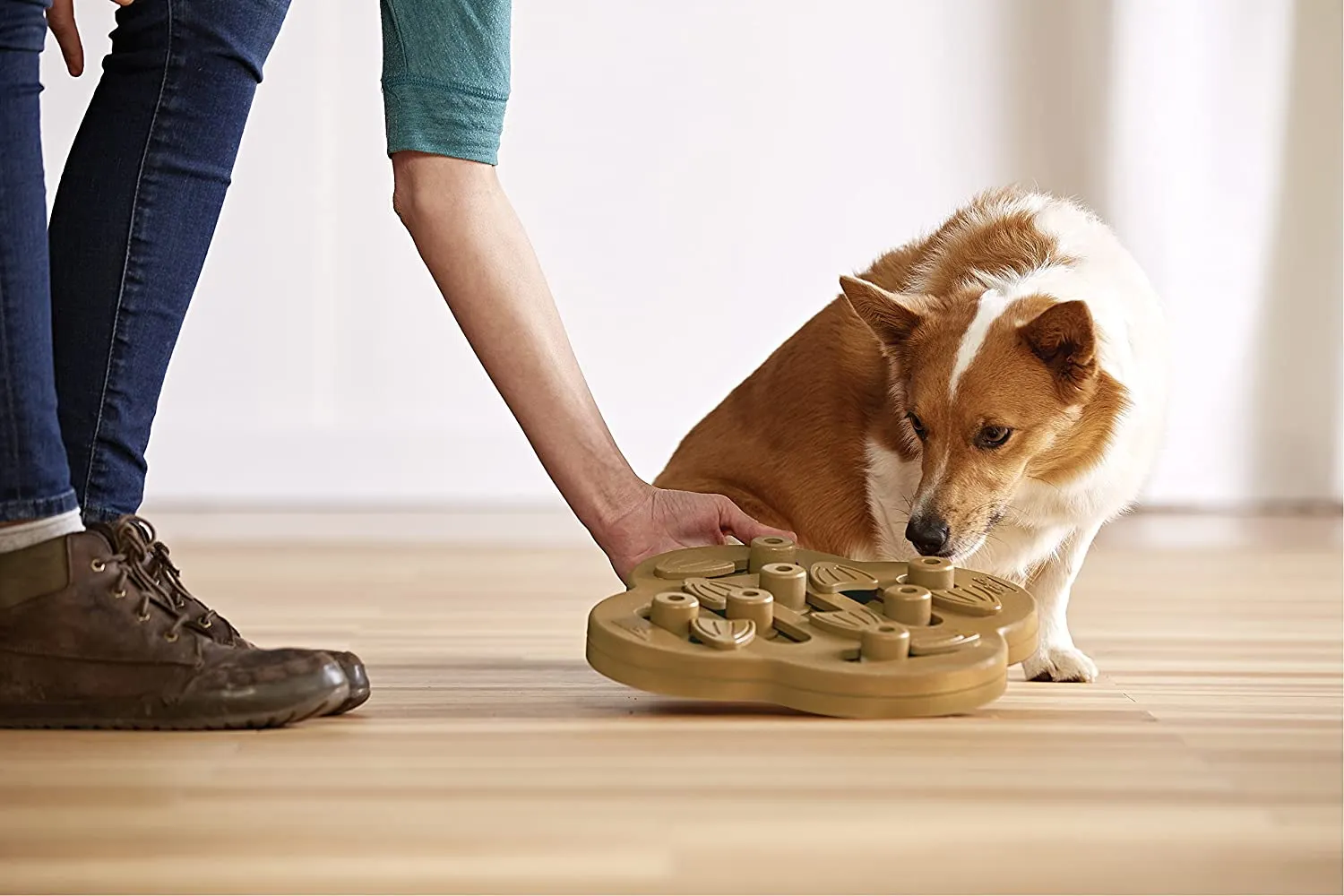 Nina Ottosson Dog Hide N' Slide Puzzle Game (Level 2 - Intermediate)