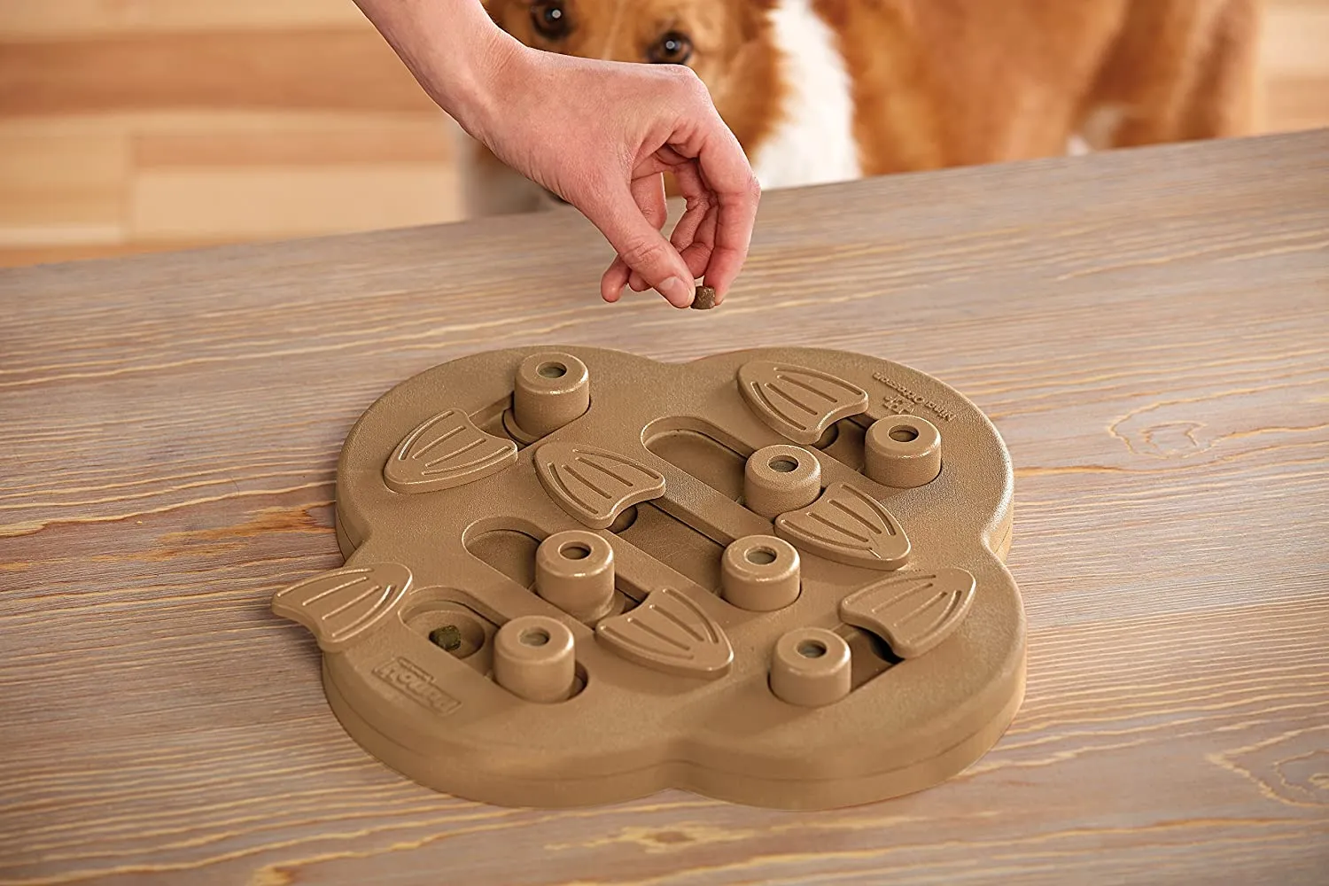 Nina Ottosson Dog Hide N' Slide Puzzle Game (Level 2 - Intermediate)