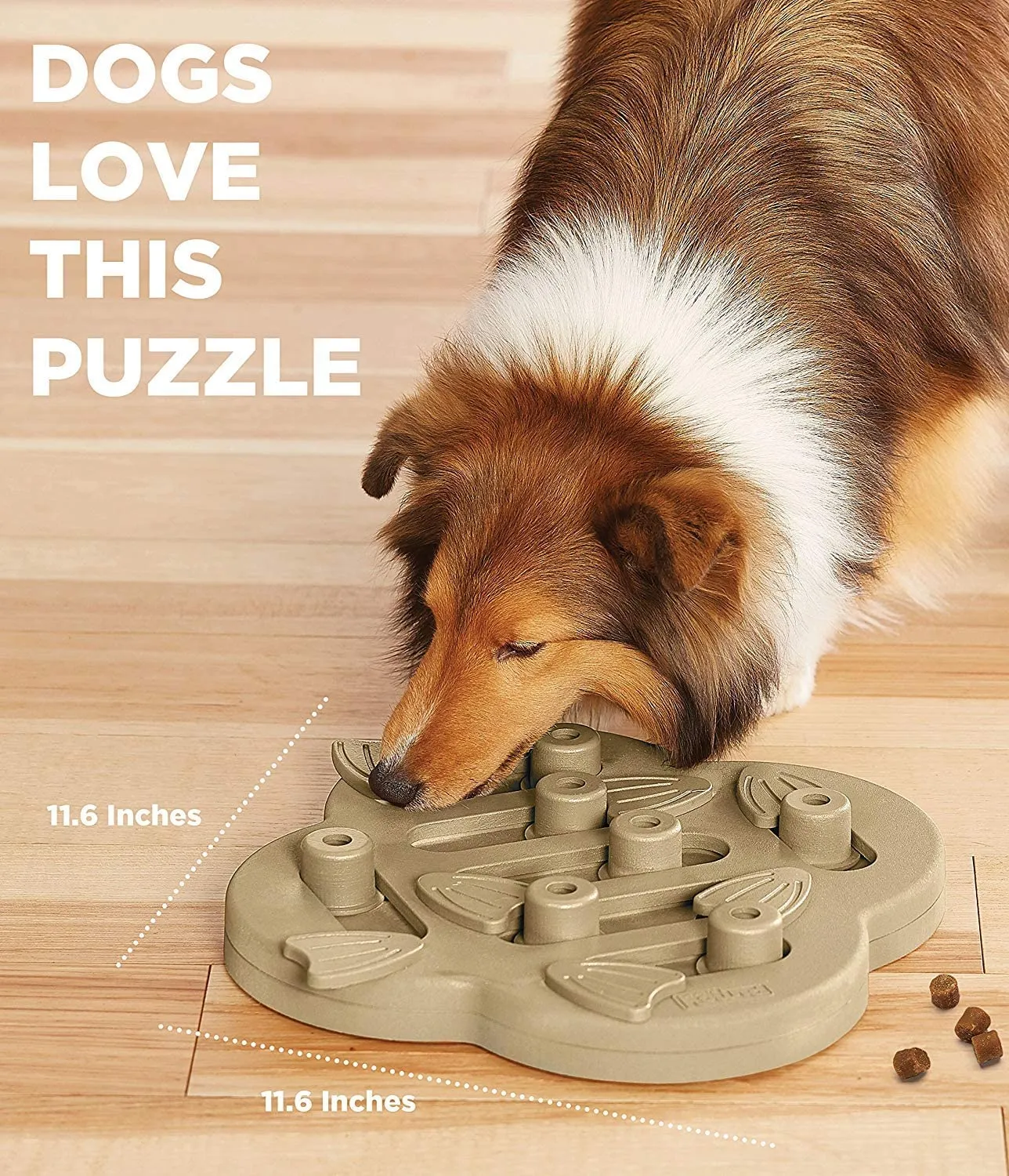 Nina Ottosson Dog Hide N' Slide Puzzle Game (Level 2 - Intermediate)