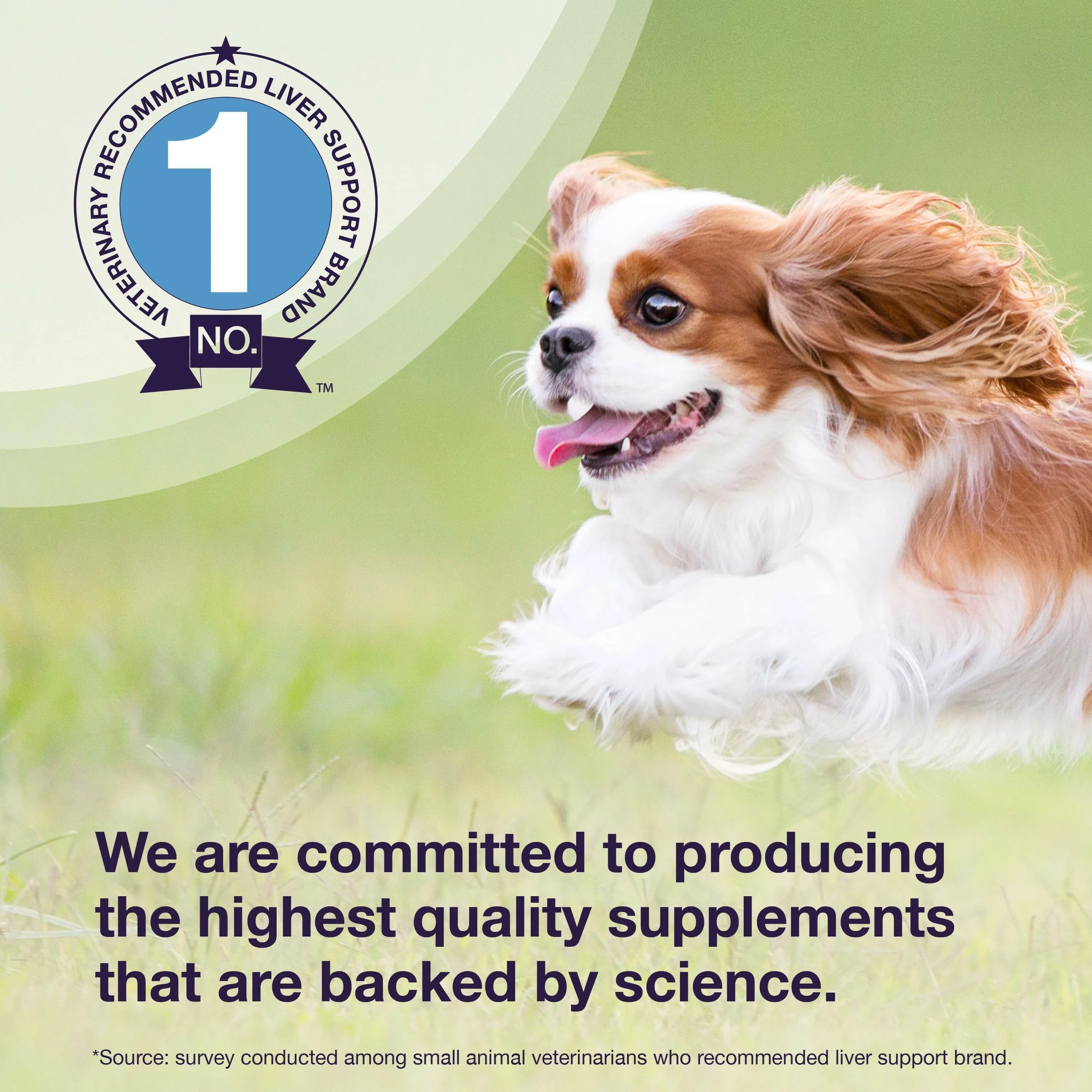 Nutramax Denamarin Liver Health Supplement for Small Dogs and Cats - With S-Adenosylmethionine (SAMe) and Silybin