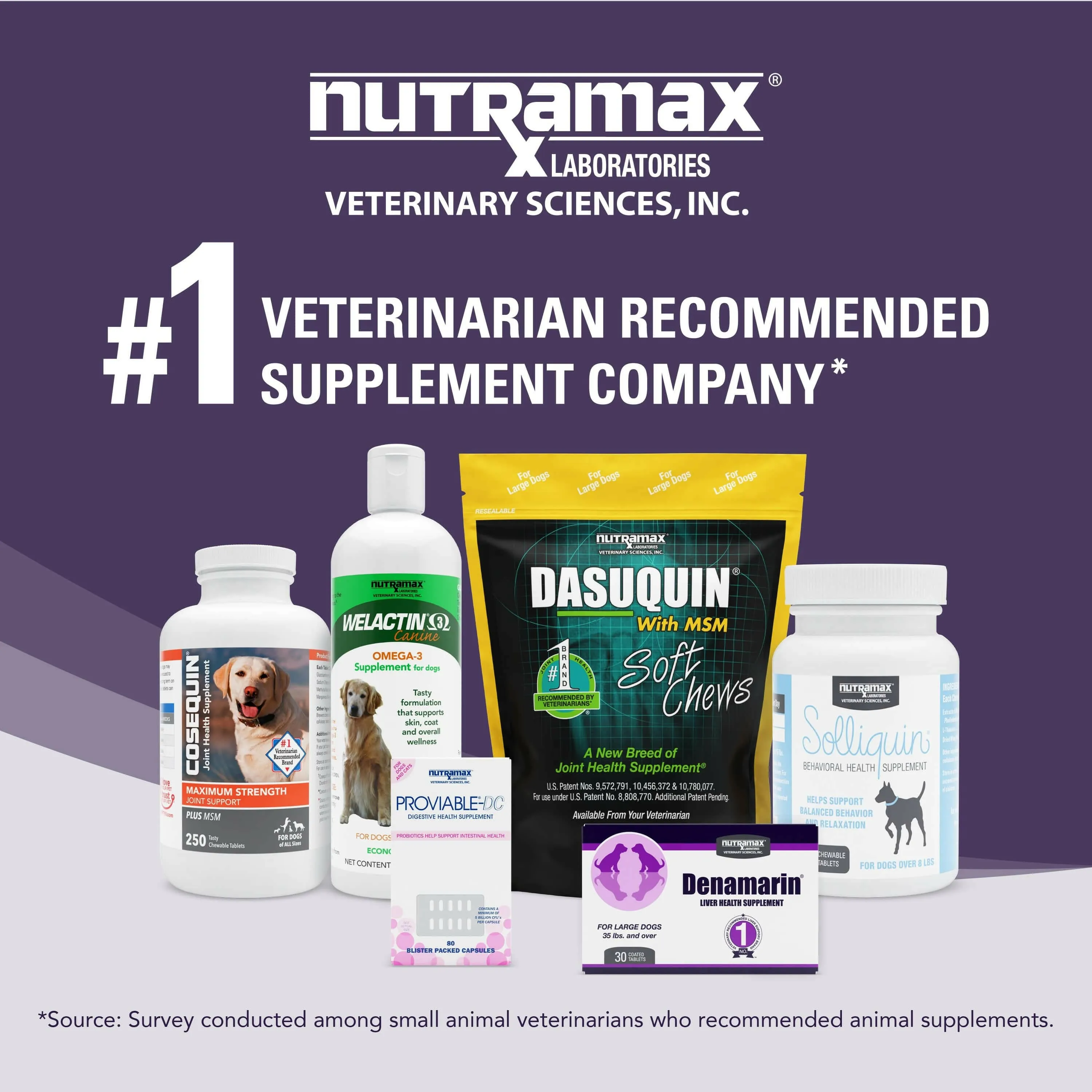 Nutramax Denamarin Liver Health Supplement for Small Dogs and Cats - With S-Adenosylmethionine (SAMe) and Silybin