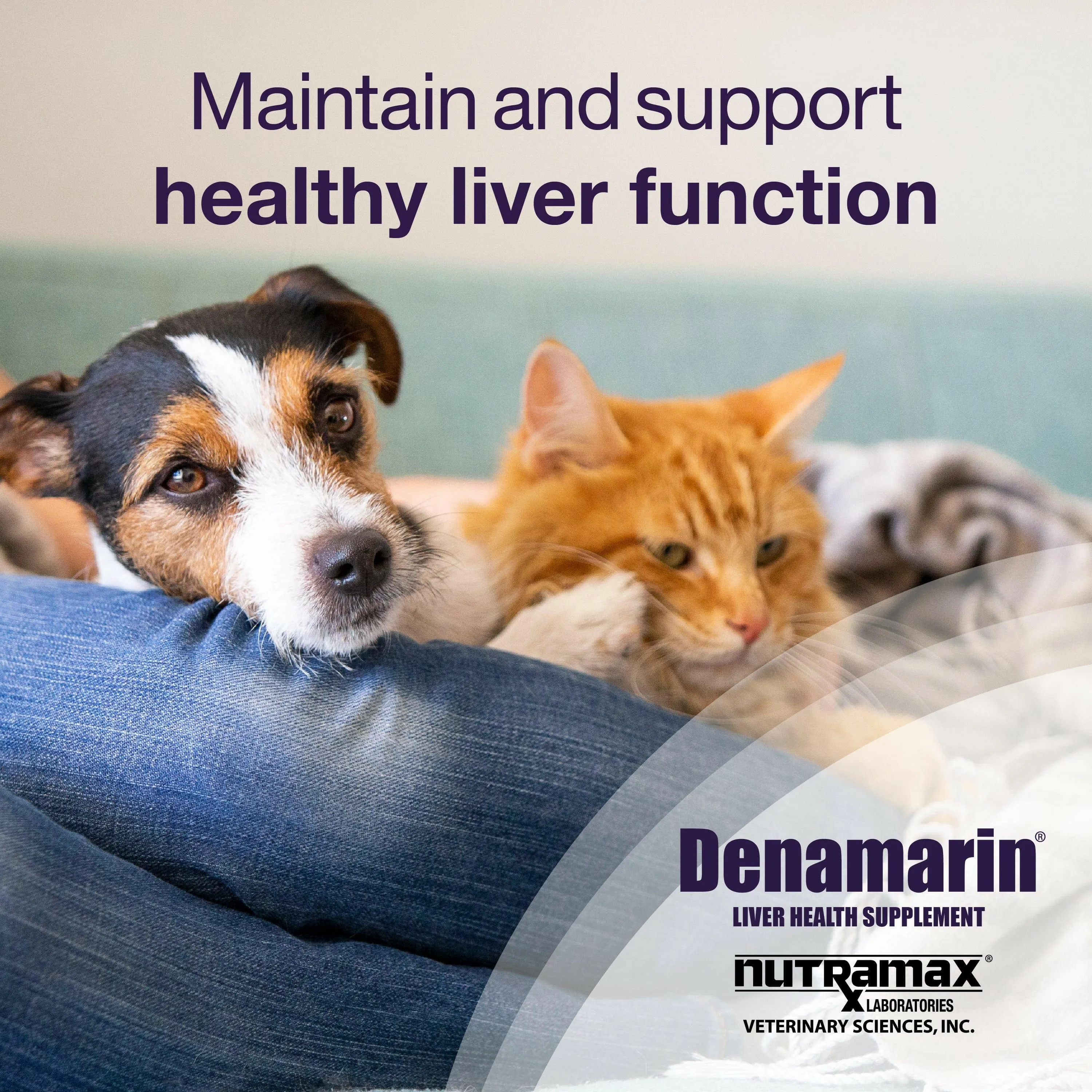 Nutramax Denamarin Liver Health Supplement for Small Dogs and Cats - With S-Adenosylmethionine (SAMe) and Silybin