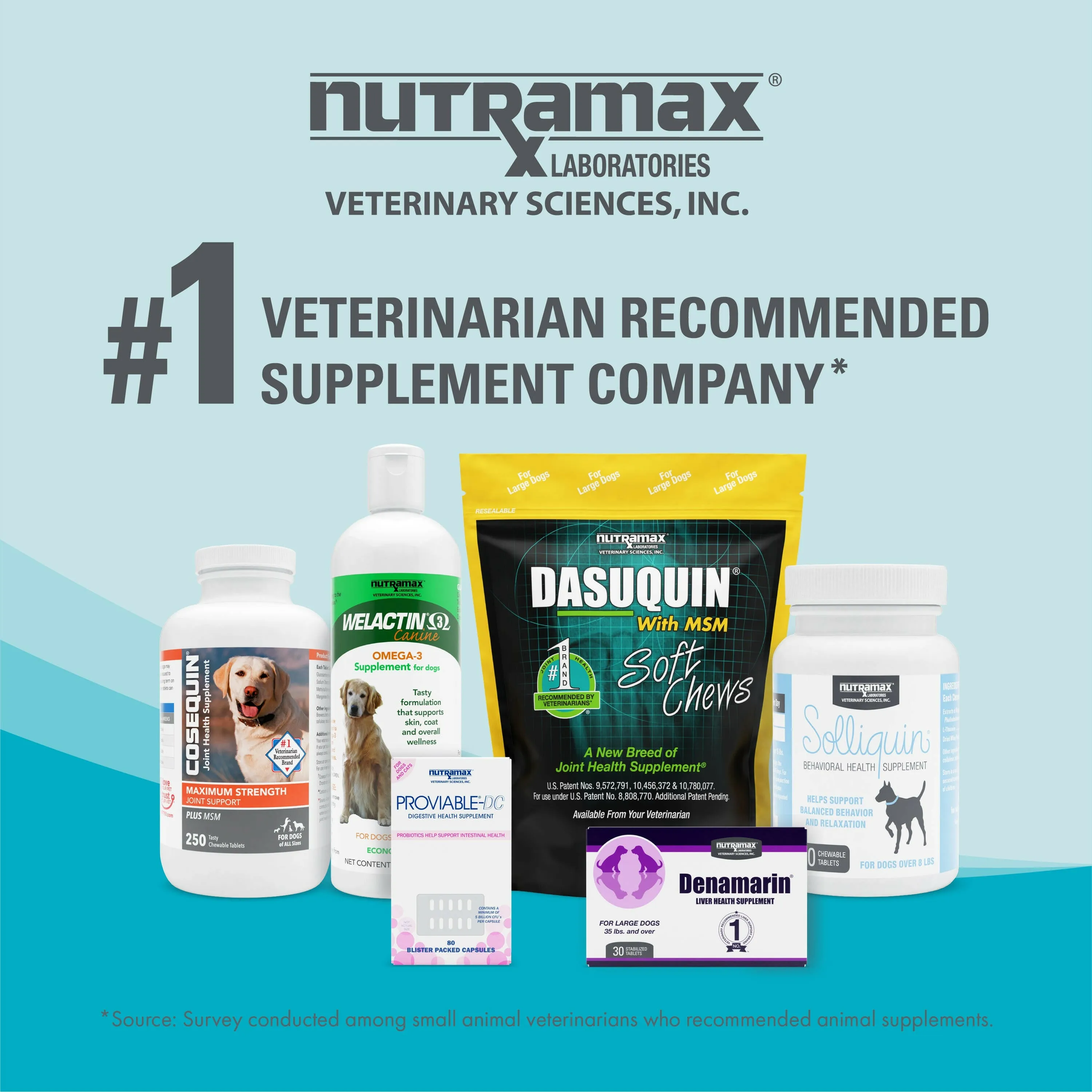 Nutramax Welactin Daily Omega-3 Supplement For Dogs, Skin & Coat Health Plus Overall Health, 60 Soft Chews