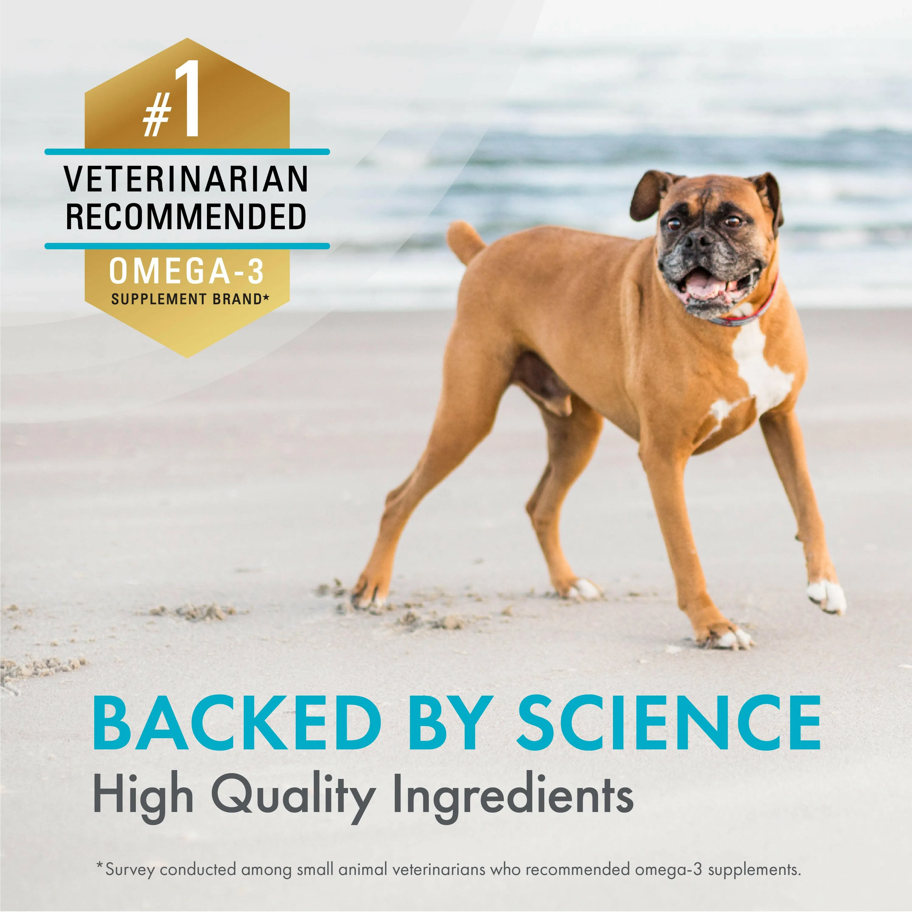 Nutramax Welactin Daily Omega-3 Supplement For Dogs, Skin & Coat Health Plus Overall Health, 60 Soft Chews