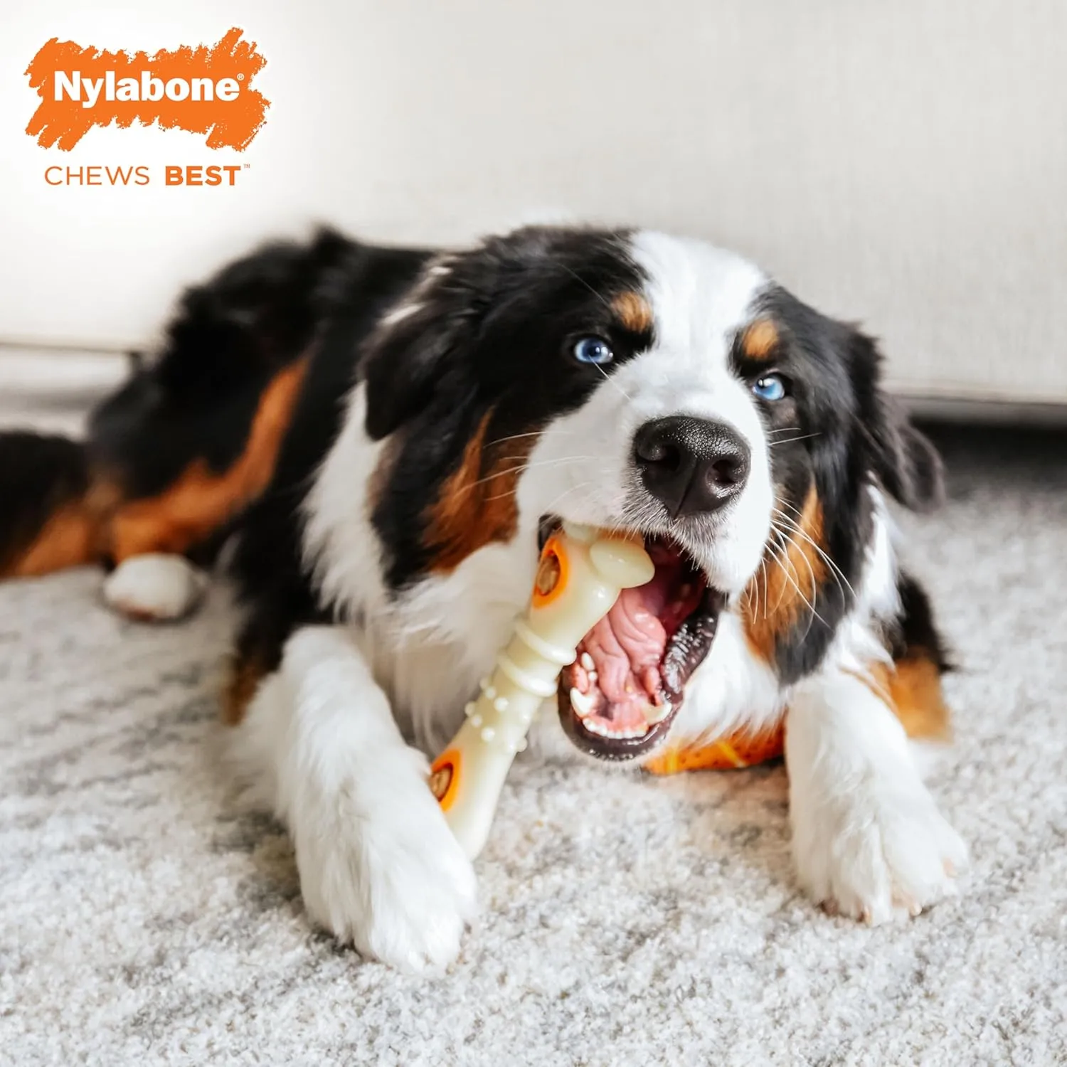 Nylabone Pop-In Treat-Toy Refill Chews, All-Natural Dog Treats for Treat Dispensing Toys, Chicken Flavor, 30 Count