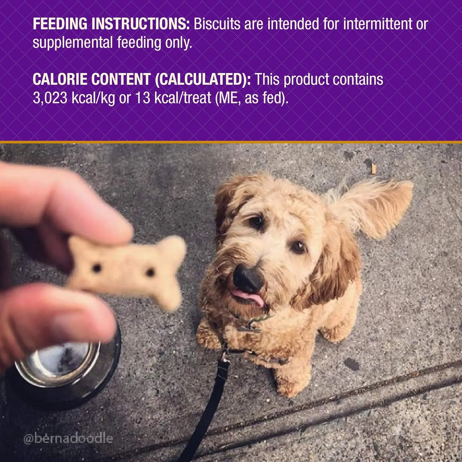 Old Mother Hubbard Wellness Soft & Chewy Pleas'n P.B. Bacon Dog Biscuits, Natural, Training Treats, Peanut Butter & Bacon Flavor, Mini Size, (8 Ounce Bag)
