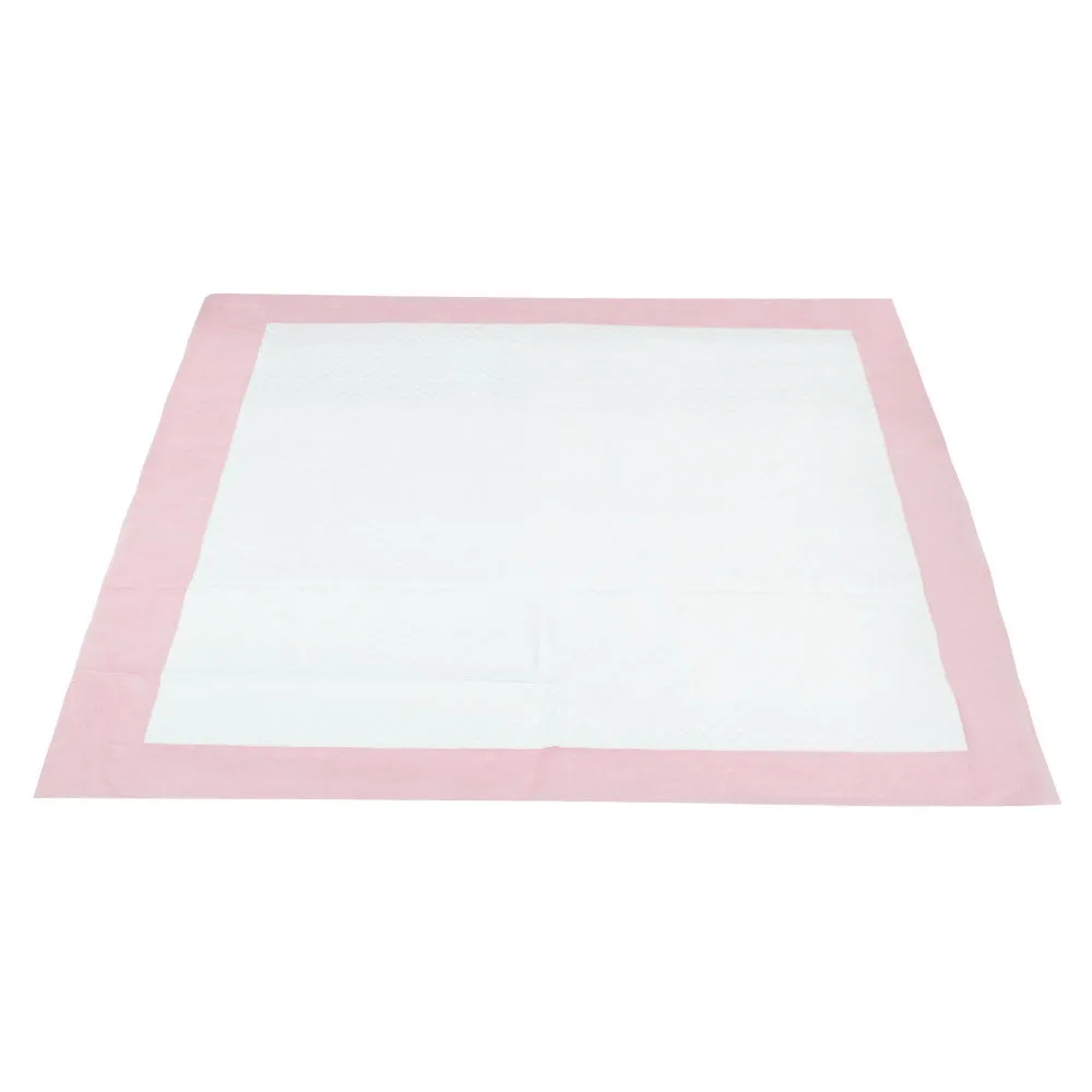 Pet Training Pads 200 Puppy Dog Cat Toilet Indoor 60x60cm Super Absorbent
