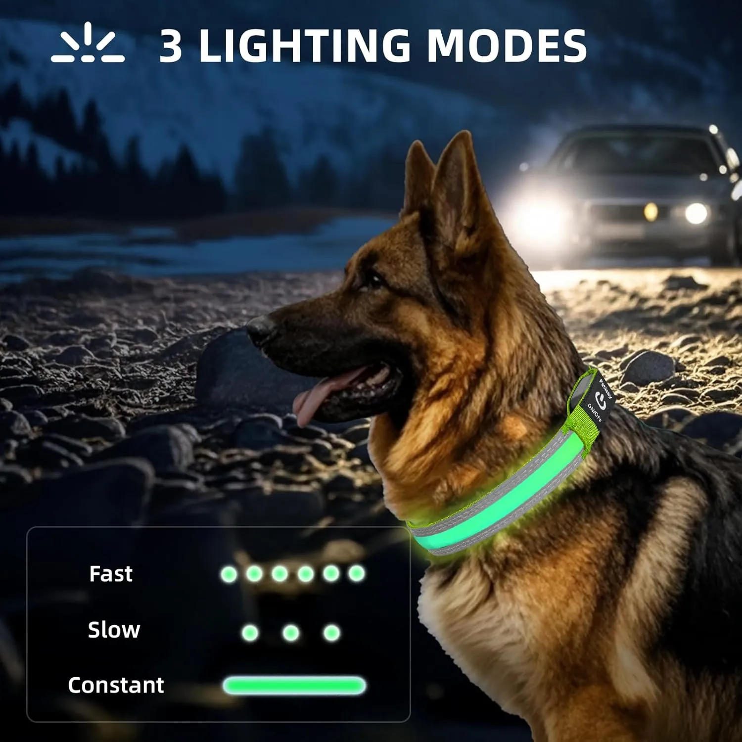 PetIsay Dog Light up Collar with Metal Buckle - Ultimate Reflective LED Dog Collar Rechargeable/Waterproof - Glow in The Dark Dog Collars for Night Walking, Camping, Foggy Weather(Green,Small)