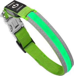 PetIsay Dog Light up Collar with Metal Buckle - Ultimate Reflective LED Dog Collar Rechargeable/Waterproof - Glow in The Dark Dog Collars for Night Walking, Camping, Foggy Weather(Green,Small)