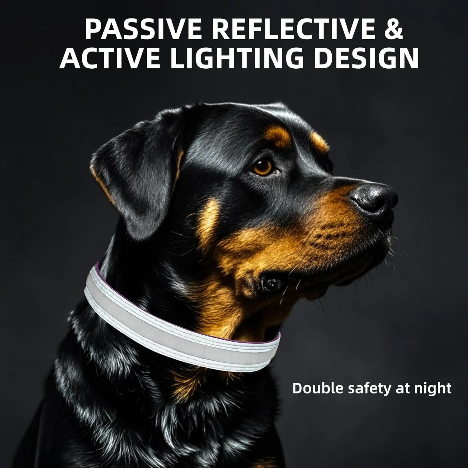 PetIsay Dog Light up Collar with Metal Buckle - Ultimate Reflective LED Dog Collar Rechargeable/Waterproof - Glow in The Dark Dog Collars for Night Walking, Camping, Foggy Weather(Green,Small)