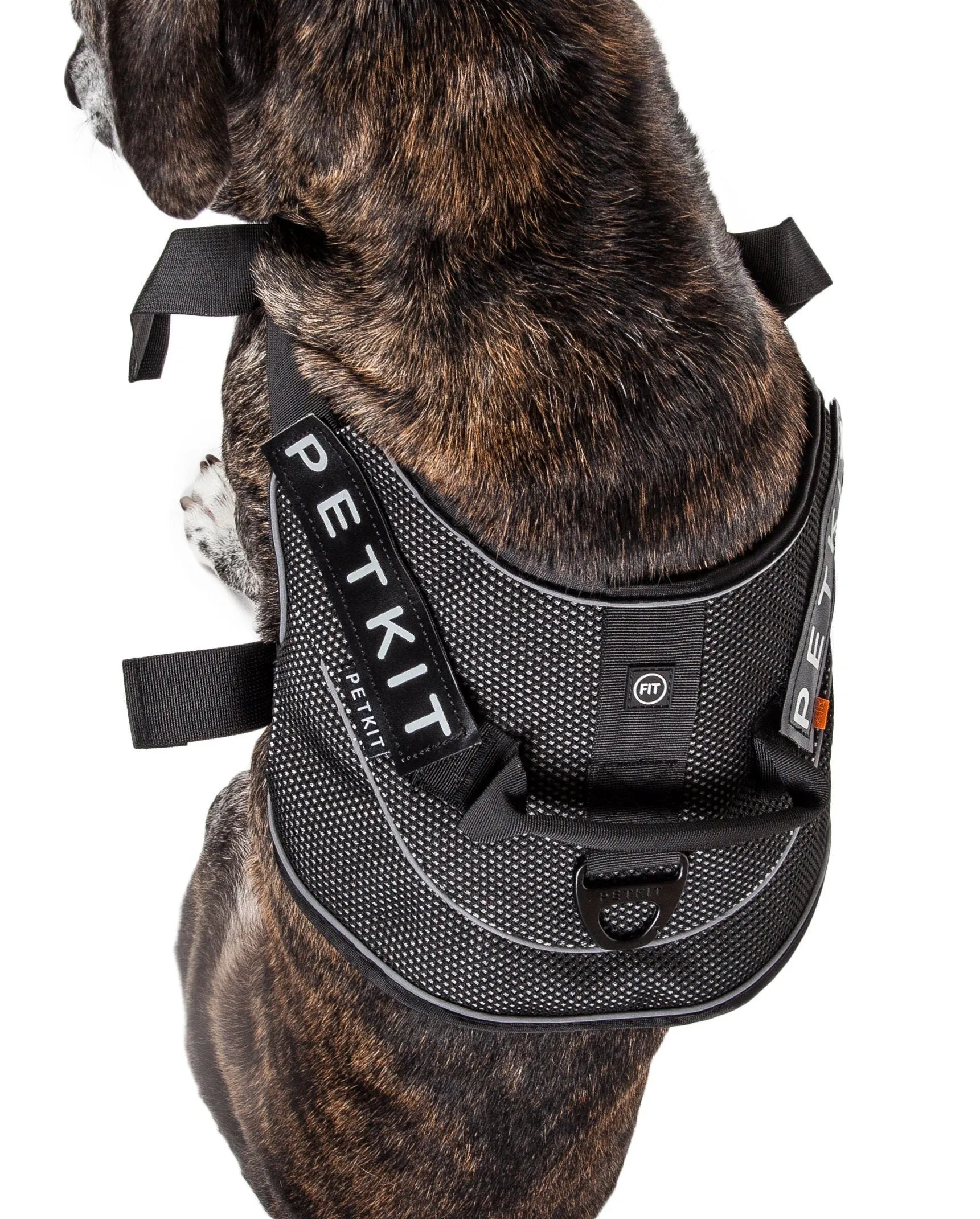 PETKIT ® 'AIR' Quad-Connecting Cushioned Chest Compression and Reflective Breathable Premium Safety Mesh Pet Dog Harness