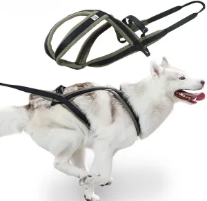 Professional Sled Dog Harness for Running, Weight Pulling & Canicross - Multi-Functional Training Gear with Wheeled Sled Adaptability(XL)
