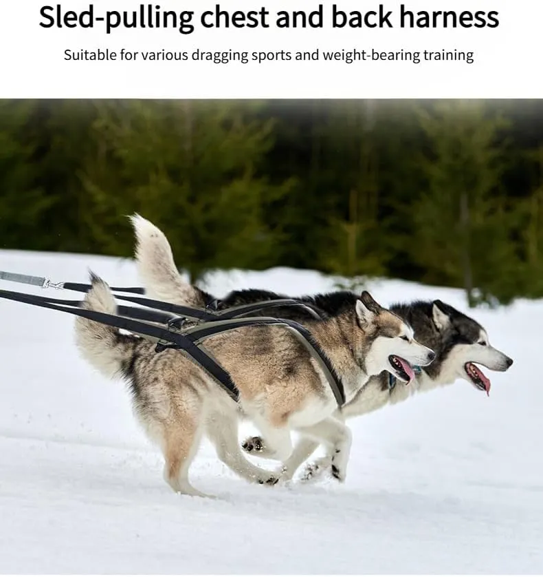 Professional Sled Dog Harness for Running, Weight Pulling & Canicross - Multi-Functional Training Gear with Wheeled Sled Adaptability(XL)
