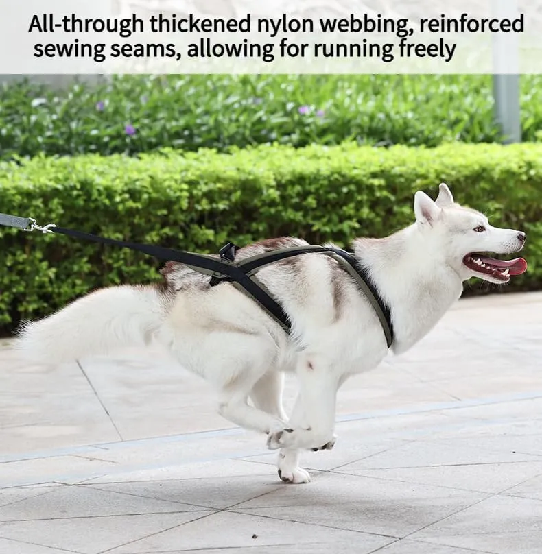Professional Sled Dog Harness for Running, Weight Pulling & Canicross - Multi-Functional Training Gear with Wheeled Sled Adaptability(XL)