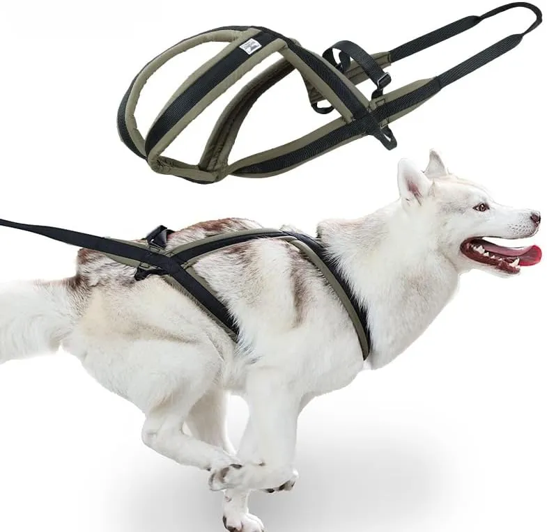 Professional Sled Dog Harness for Running, Weight Pulling & Canicross - Multi-Functional Training Gear with Wheeled Sled Adaptability(XL)