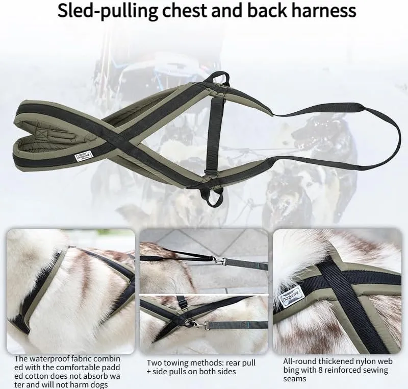 Professional Sled Dog Harness for Running, Weight Pulling & Canicross - Multi-Functional Training Gear with Wheeled Sled Adaptability(XL)