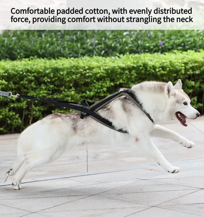 Professional Sled Dog Harness for Running, Weight Pulling & Canicross - Multi-Functional Training Gear with Wheeled Sled Adaptability(XL)